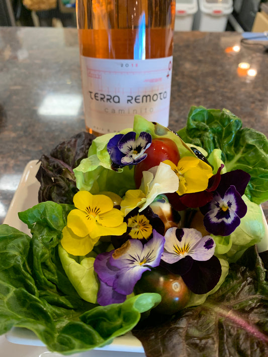 Flower Pot Salad (NOVA Only)