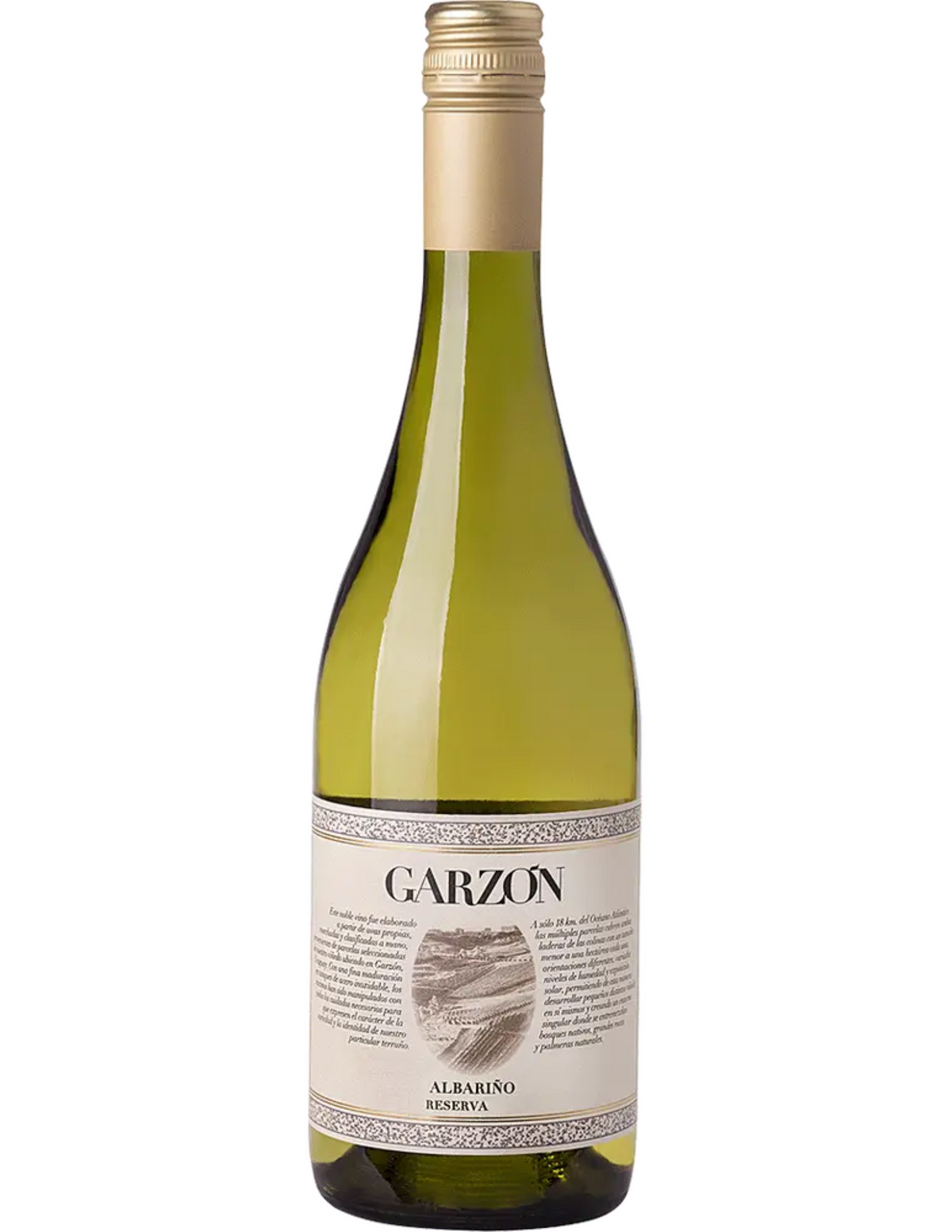 Bodegas Garzon Reserva Albarino Uruguay 2025