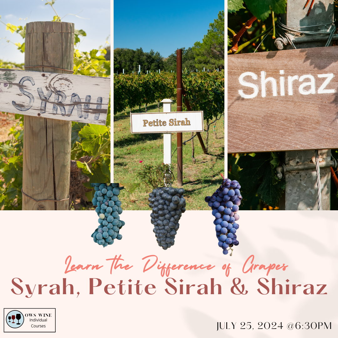 OWS "Syrah/Shiraz/Petit Sirah" Experience July 25, 2024 @ 6:30 pm