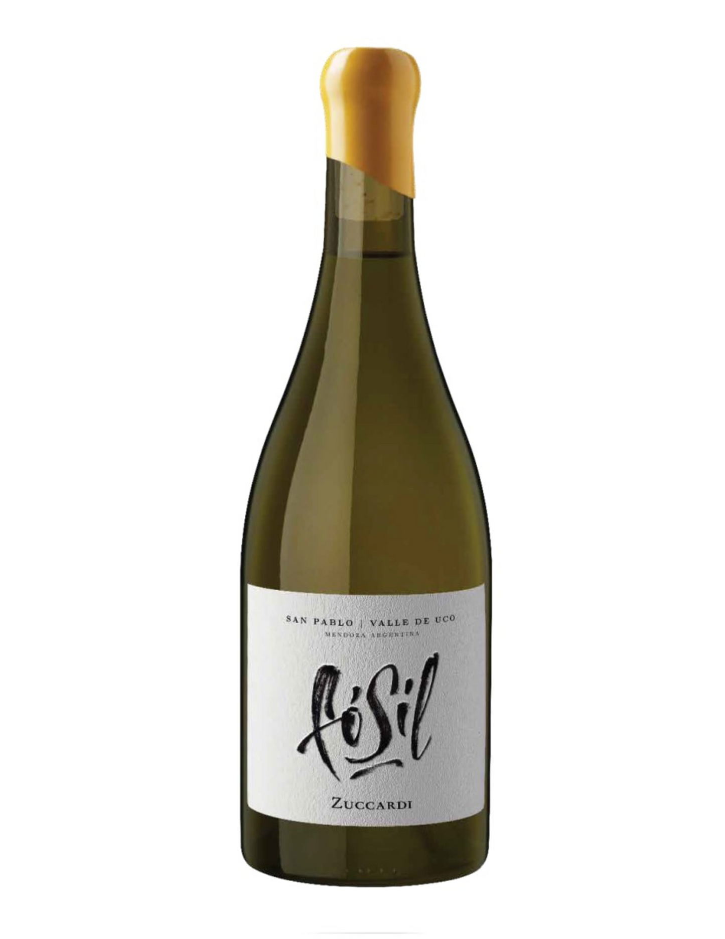 Familia Zuccardi Fosil Chardonnay Mendoza Argentina 2022